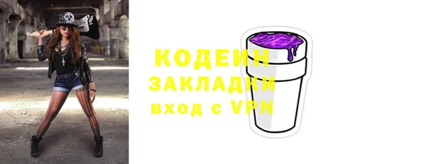 крисы Козельск