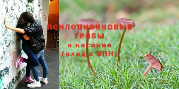 соль курить ск Алексин